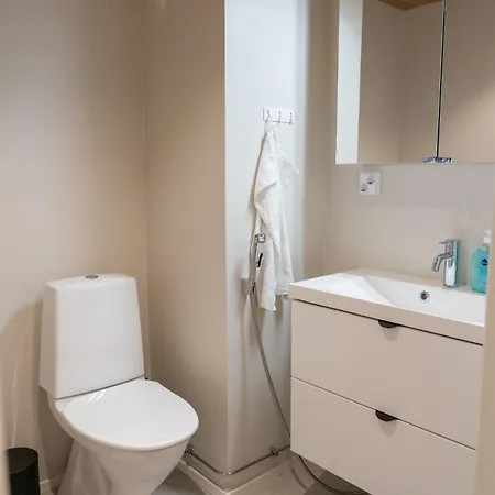 Newly Renovated Family Apartment, Parking, Sauna, Balcony Apartment *